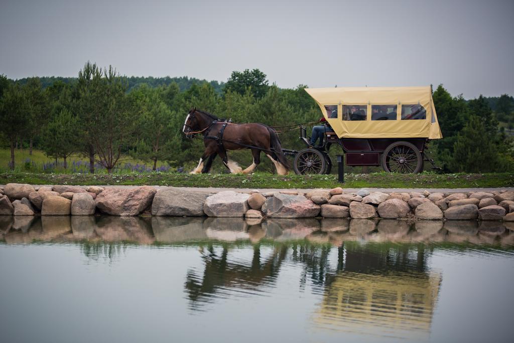 Dubingiu Zirgynas Bed & Breakfast Дубингиай Екстериор снимка
